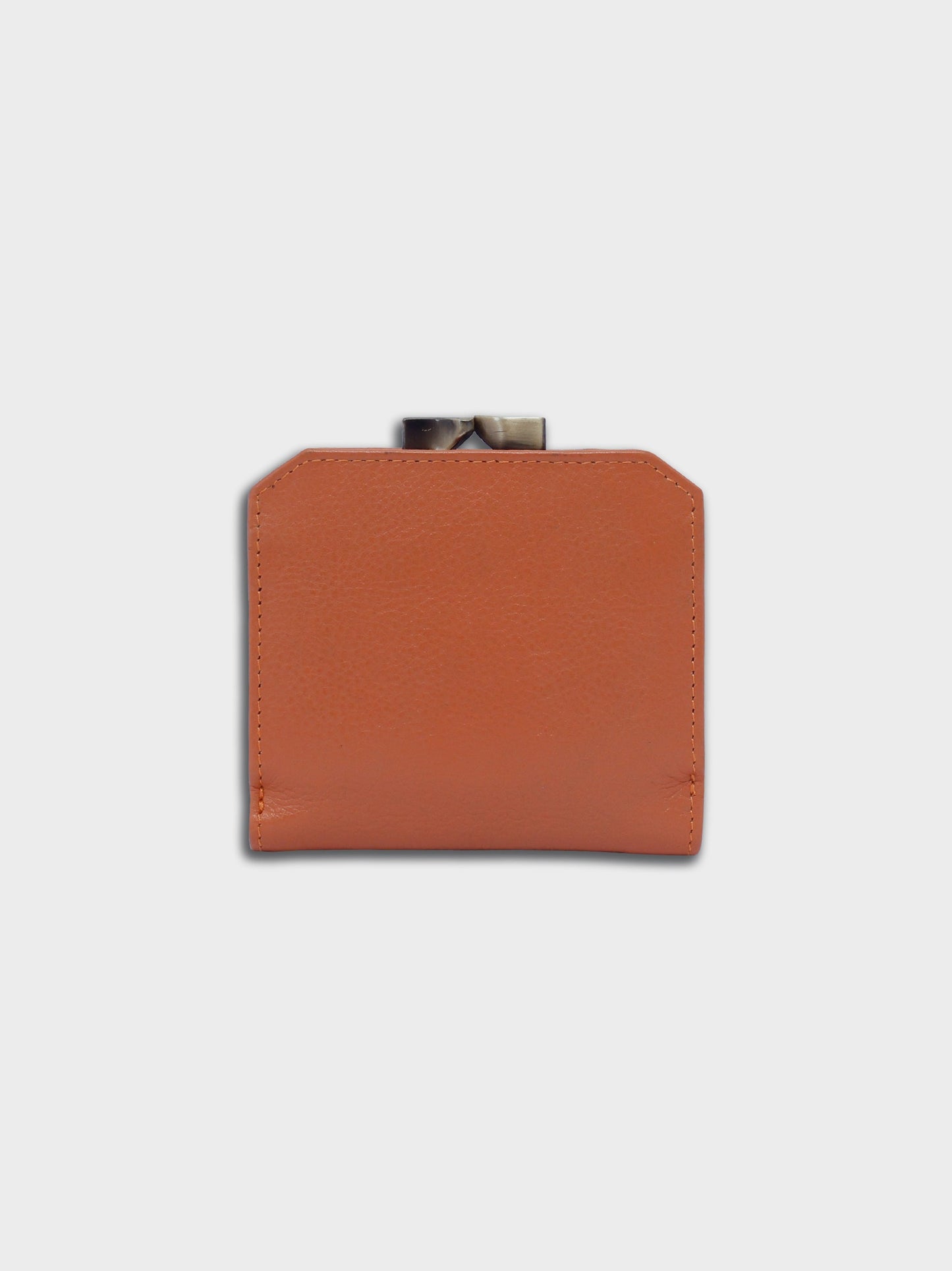 Pandora's Purse (Dusty Peach)