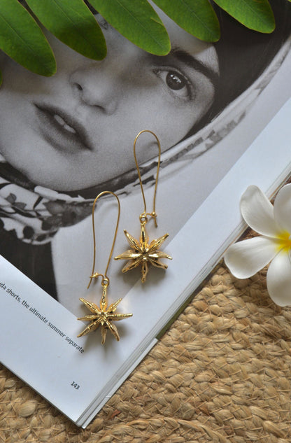 Star Earrings